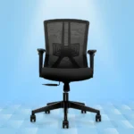 Regalia Ergonomic Mid Back Mesh Office Chair - Image 2