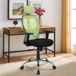 Akira High Back Breathable Mesh Ergonomic Chair with Adjustable Lumbar Support in Green Color