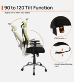 Akira High Back Breathable Mesh Ergonomic Chair with Adjustable Lumbar Support in Green Color - Image 4