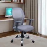 Yuzuki Ergonomic Chair With Adjustable Handle And Lumbar Support In Grey Colour