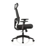 Home & Office Ergonomic Chair with, Adjustable Lumbar Support, Adjustable Armrest & DIY. (High Back)(Nylon,Mesh)(Black) - Image 4