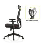 Home & Office Ergonomic Chair with, Adjustable Lumbar Support, Adjustable Armrest & DIY. (High Back)(Nylon,Mesh)(Black) - Image 2