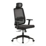 Home & Office Ergonomic Chair with, Adjustable Lumbar Support, Adjustable Armrest & DIY. (High Back)(Nylon,Mesh)(Black) - Image 5