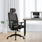 Home & Office Ergonomic Chair with, Adjustable Lumbar Support, Adjustable Armrest & DIY. (High Back)(Nylon,Mesh)(Black)