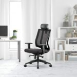 High Back Mesh Home & Office Ergonomic Chair with, Multi Lock Mechanism (High Back)