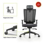 High Back Mesh Home & Office Ergonomic Chair with, Multi Lock Mechanism (High Back) - Image 5